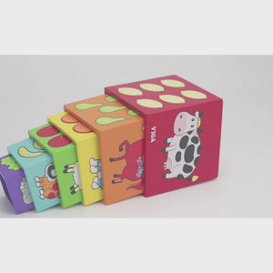 Colourful Nesting & Stacking Cubes